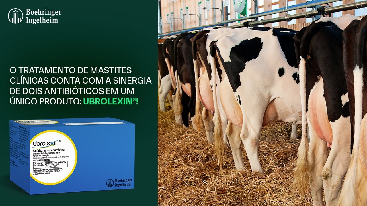 Ubrolexin® - Tratamento de Mastite Clínica em Vacas em Lactação