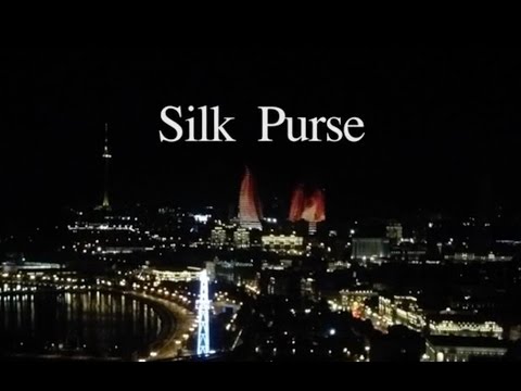 Silk Purse