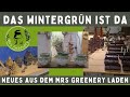 The Winter Greens Are Here Shop Tour Greenery Vlog