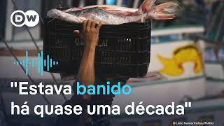 Miniatura do vídeo