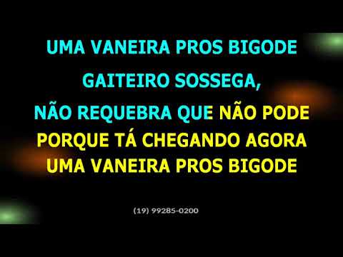 Portal Gaúcho • Vaneira pros bigode + Trancão de baile + Moda louca • BV