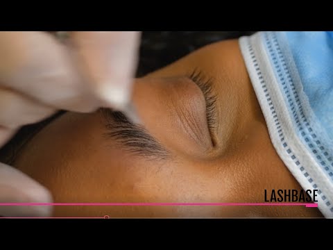 Lifted. Brow Lamination - LashBase