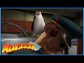 DreamWorks Madagascar The Penguins Takes Over The Ship Madagascar Movie Clip
