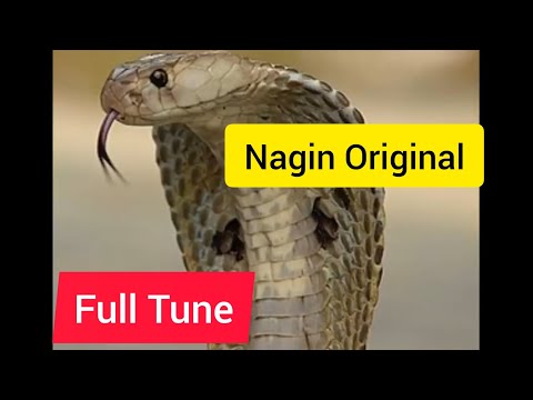 Nagin original tone | Nagin been full tune official music