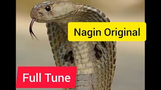 Nagin original tone  Nagin been full tune official