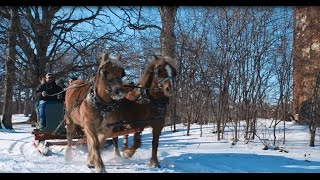 Apple Holler Horse-Drawn Sleigh Ride