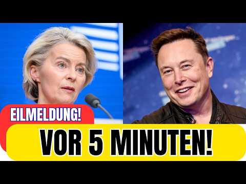 Elon Musk verklagt die EU: 120 Millionen Strafe löst historischen Internetprozess aus