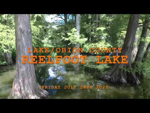Reelfoot Lake State Park Offical Drone Tour