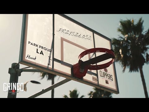 PŁONIAK x TEERZET - PRZYSZŁOŚĆ