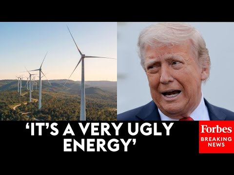 'Wind Is A Disaster': Trump Rails Against Windmills: 'They Also Kill All Your Birds'