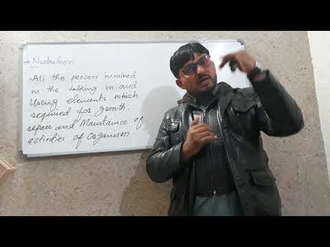 download lagu mp3 mp4 Nutrition Meaning In Urdu, download lagu Nutrition Meaning In Urdu gratis, unduh video klip Nutrition Meaning In Urdu