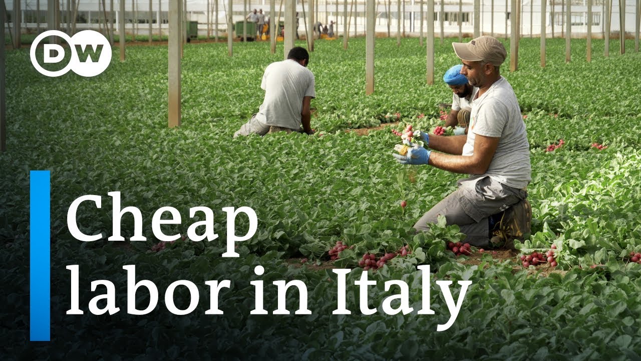 Clandestine employment of Indians in Italy