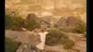 Tina Turner - On Silent Wings