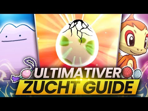 DER ULTIMATIVE ZUCHT GUIDE - So bekommt ihr das PERFEKTE Pokemon in Strahlender Diamant!