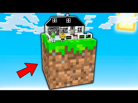 HO COSTRUITO UNA CASA REALISTICA SU UN SOLO BLOCCO DI MINECRAFT!