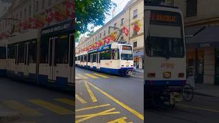 Public transportation in canton of Geneva, Switzerland. #geneva #transportspublicsgenevois #tpg