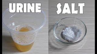How to】 Test Pregnancy Without Kit At Home How to】 Test Pregnancy Without Kit At Home