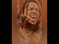 Stephen Marley - Tipsy Dazy