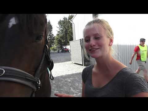 MUSTANG MAKEOVER 2018 Team Maja - INTERVIEW