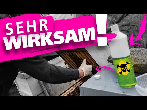 , title : 'Zuverlässige METHODE! - Oxalsäurebehandlung der Bienen im Winter!'