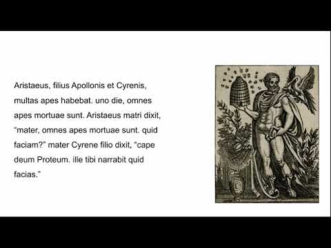 Tempus Fabulae- Aristaeus