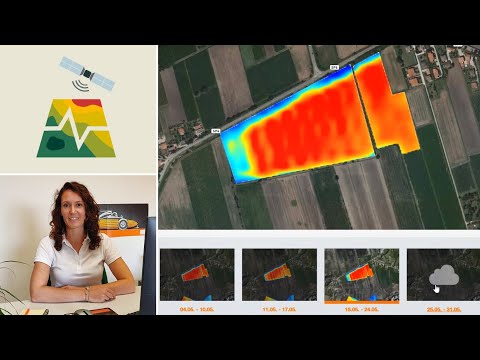 myKWS - Crea le tue Mappe di Vitalità