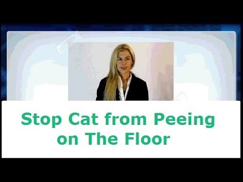 ✅ Stop Cat peeing on The Floor