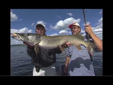 Миниатюра изображения товара Воблер Rapala Tail Dancer Deep / TDD09-FLP