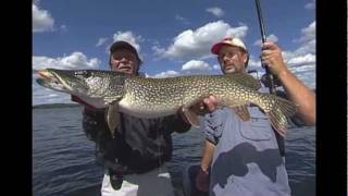 Rapala tail dancer deep tdd07