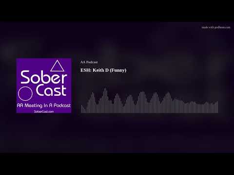 ESH: Keith D (Funny) - AA Speaker