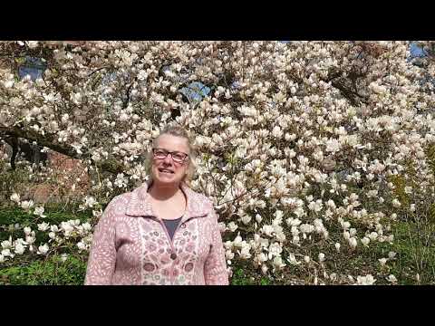 Frühlingsgrüße vom Seminarhaus Buschhof Kattendorf