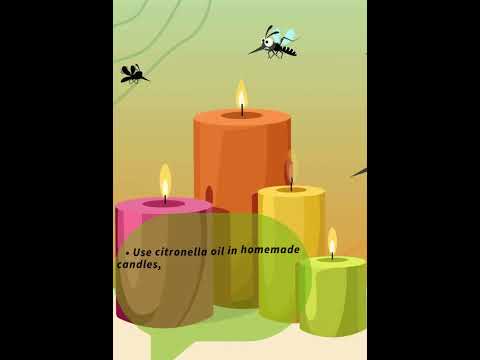 Citronella Candle Fragrance Oil