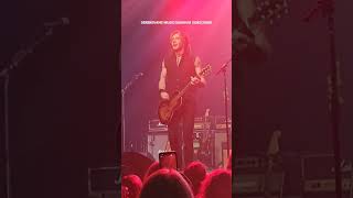 RICK SPRINGFIELD Everybody's Girl