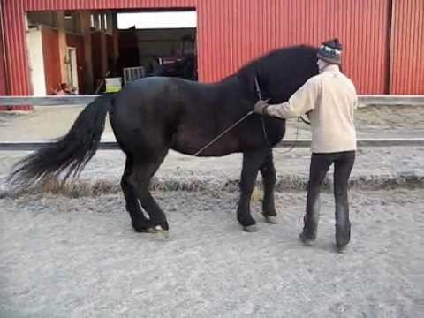 Work with the scool halt for 6 months