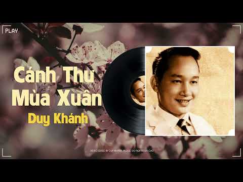 Cánh Thư Mùa Xuân