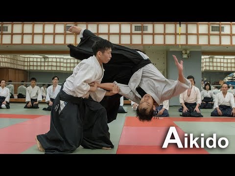 Dynamic Aikido - Using the body softly and footwork lightly