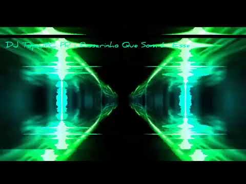 DJ Topo,MC PR-Passarinho Quo som É Esse(1 hour)