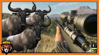 Getting TRAMPLED by a Wildebeest STAMPEDE!  (theHunter Call of The Wild Gameplay)