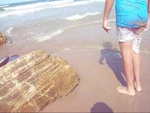 plage larbi ben m'hidi que j'aime 2020