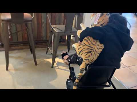 Sahana gurung January 2019