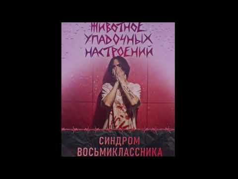 Квинты к песням синдром восьмиклассника. Синдром восьмиклассника музыка. Синдром восьмиклассника альбомы. Синдром восьмиклассника розы на гитаре. Синдром восьмиклассника альбомы.