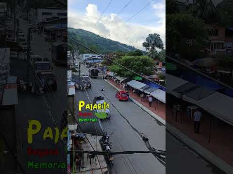 Pajarito Boyacá (4:26 p.m.) (Agosto 14/2026)