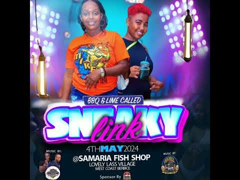 Sneaky Link Live Audio By (DJ VYBZ X SEL SPONGY THE BEAST TEAM)