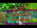மரங்களின் பெயர்கள் Tree Name In Tamil Marangalin Peyargal In Tamil