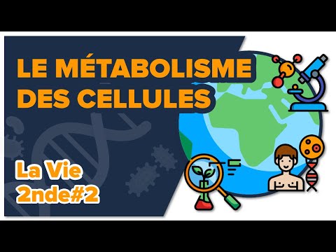 Le métabolisme des cellules - SVT - LA VIE 2nde #2- Mathrix