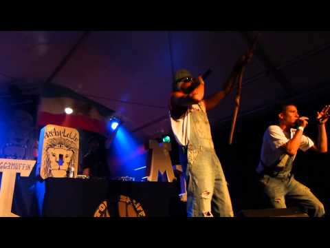 Atomic Spliff Soundsystem - Ils sont bêtes @ Bluebird Festival Evelette 26-07-2014  HD