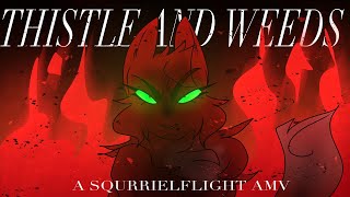 Thistles and Weeds || A Squirrelflight AMV