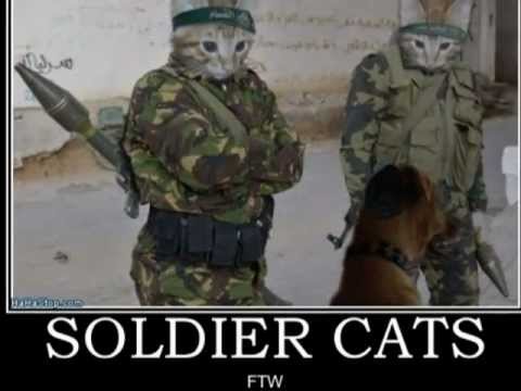 Speedy Noriega - For The Win