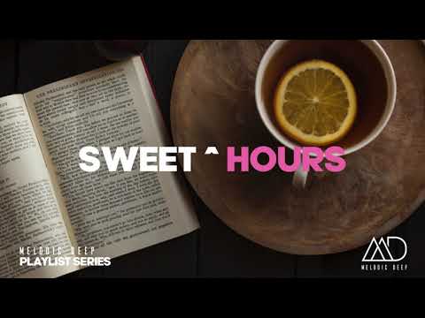 Niko Schwind & Felix Raphael - Last Intersection [Stil Vor Talent] Best Organic House & Downtempo