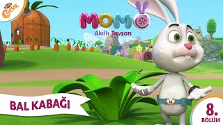 8. Bölüm - BALKABAĞI